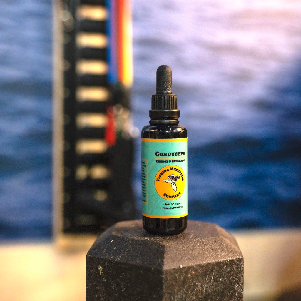 Cordyceps Extract