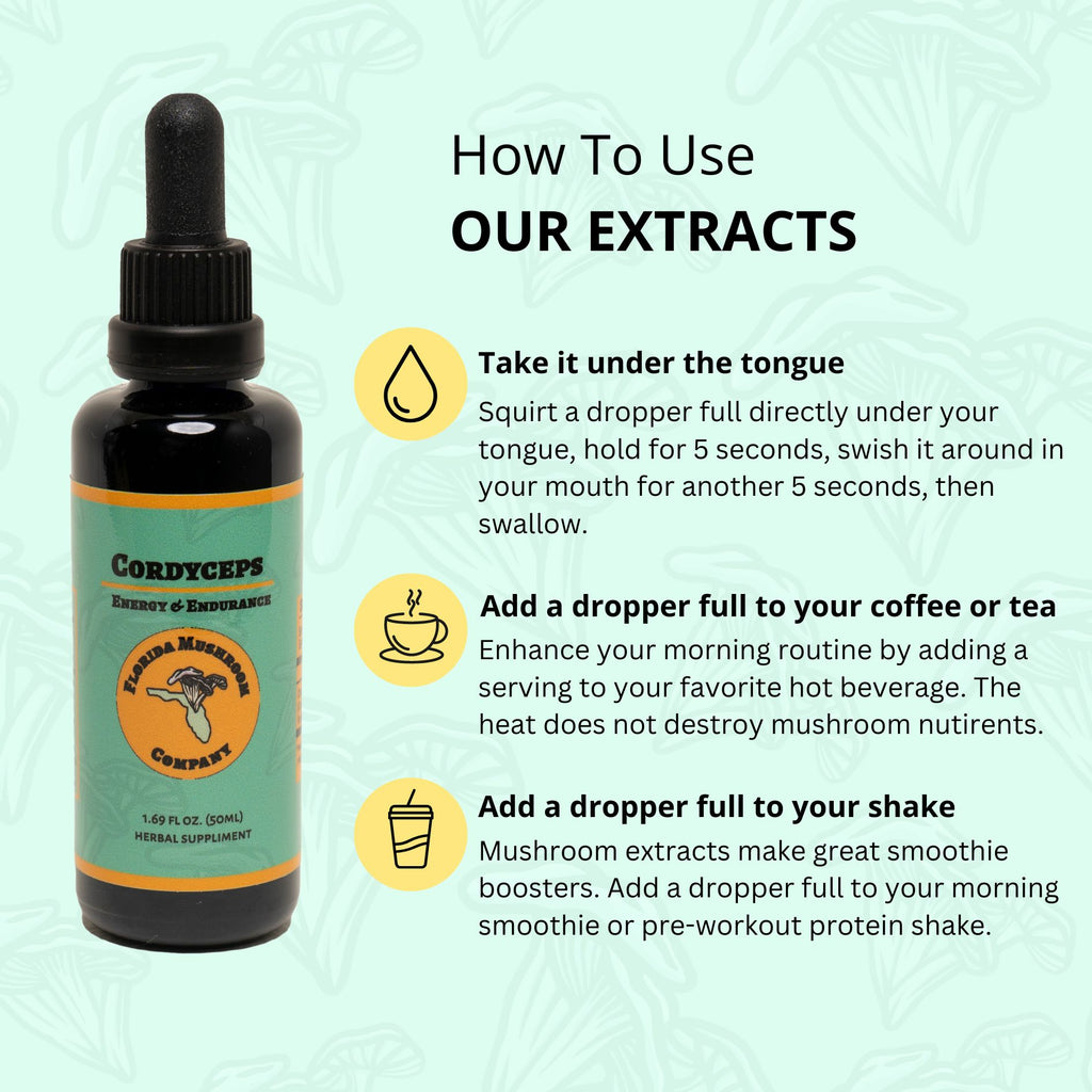 Cordyceps Extract