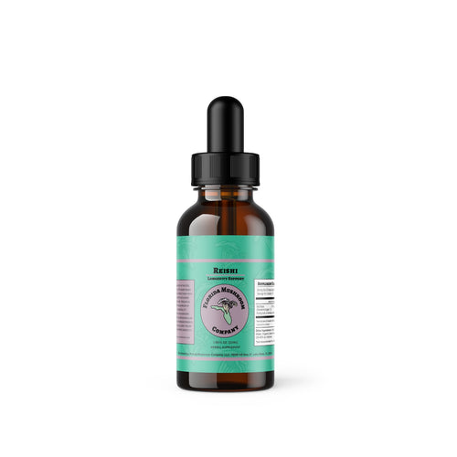 Reishi Extract — Longevity Support