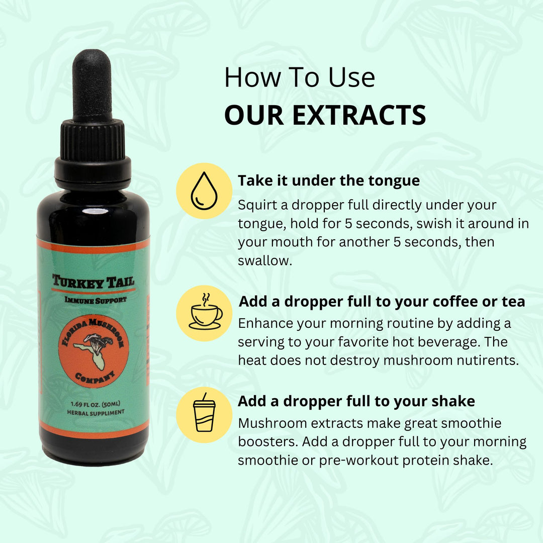 Turkey Tail Extract