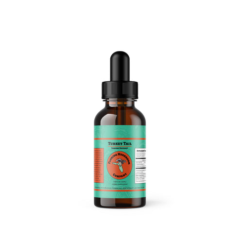 Turkey Tail Extract — Immune Support